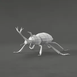 Beetle